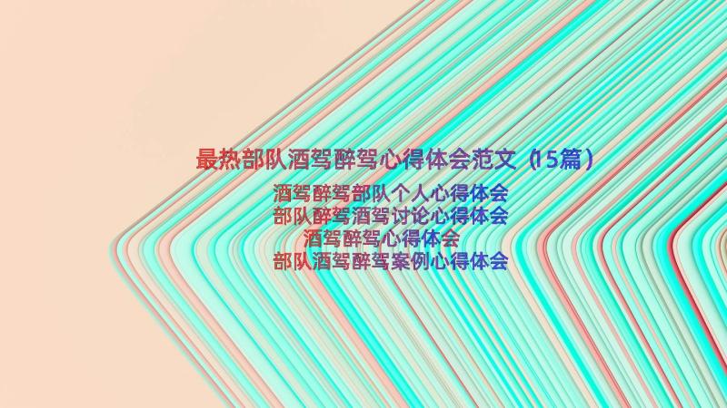 最热部队酒驾醉驾心得体会范文（15篇）