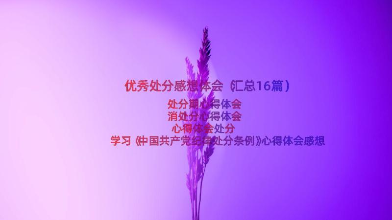 优秀处分感想体会（汇总16篇）