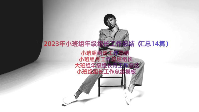 2023年小班组年级组长工作总结（汇总14篇）