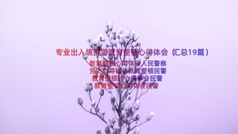 专业出入境民警教育整顿心得体会（汇总19篇）