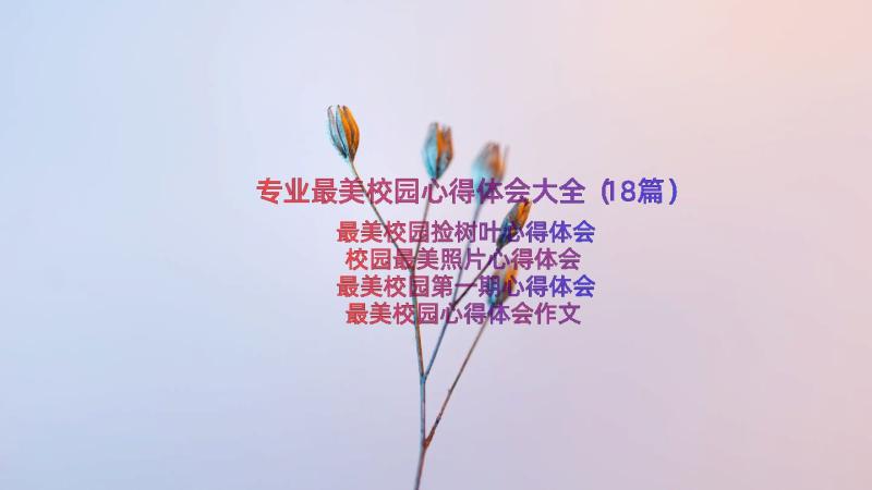 专业最美校园心得体会大全（18篇）