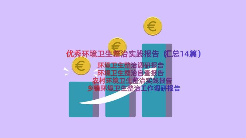 优秀环境卫生整治实践报告（汇总14篇）