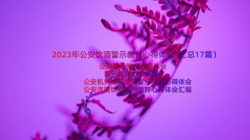 2023年公安饮酒警示教育心得体会（汇总17篇）