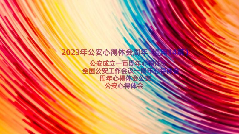 2023年公安心得体会周年（通用14篇）