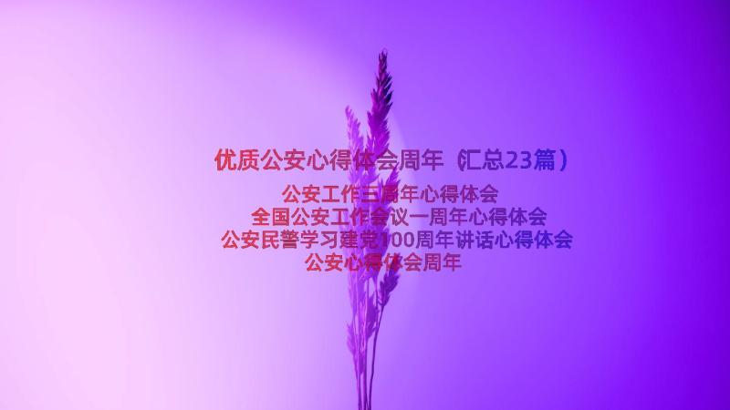 优质公安心得体会周年（汇总23篇）