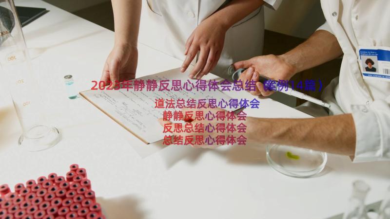 2023年静静反思心得体会总结（案例14篇）