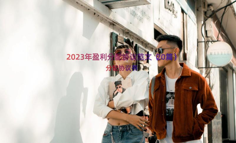 2023年盈利分配协议范文（20篇）