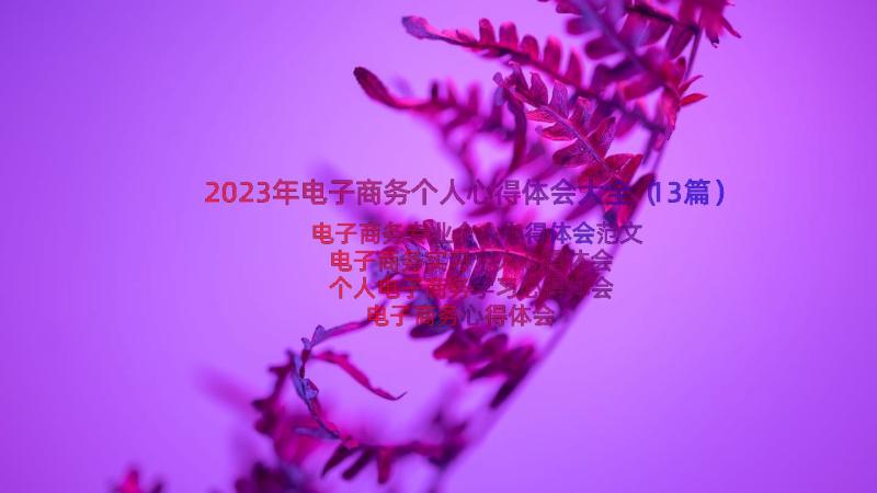 2023年电子商务个人心得体会大全（13篇）