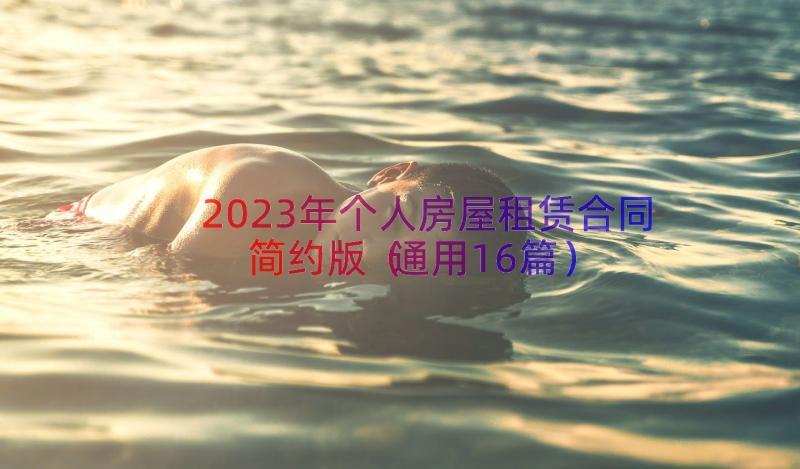 2023年个人房屋租赁合同简约版（通用16篇）