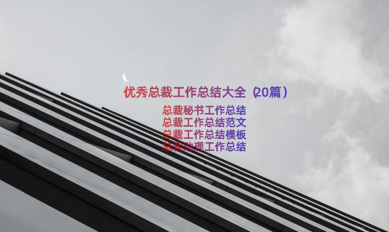 优秀总裁工作总结大全（20篇）