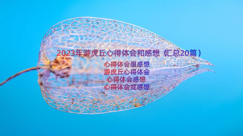 2023年游虎丘心得体会和感想（汇总20篇）