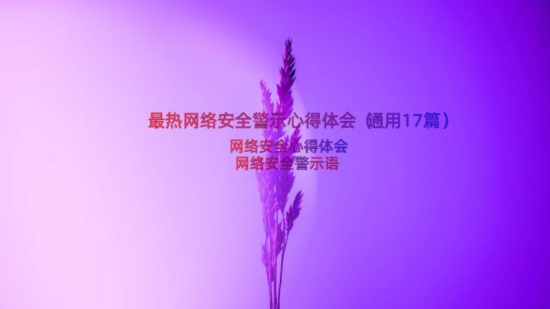 最热网络安全警示心得体会（通用17篇）