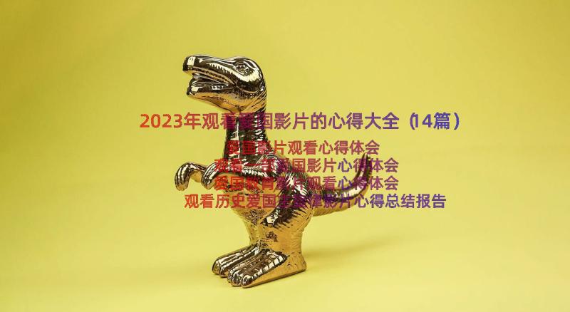 2023年观看爱国影片的心得大全（14篇）