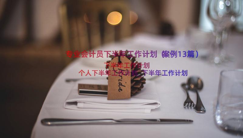 专业会计员下半年工作计划（案例13篇）