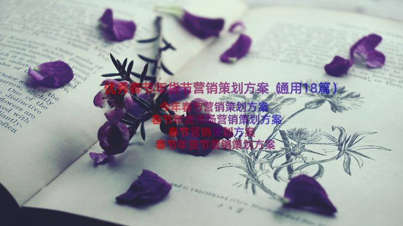 优秀春节年货节营销策划方案（通用18篇）