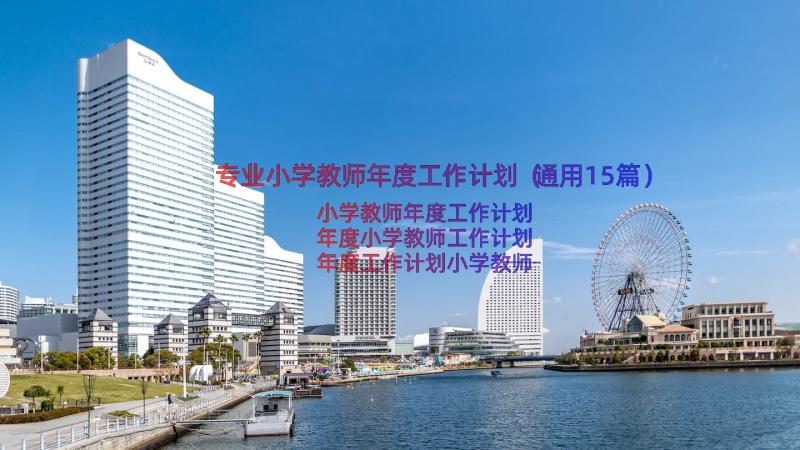 专业小学教师年度工作计划（通用15篇）