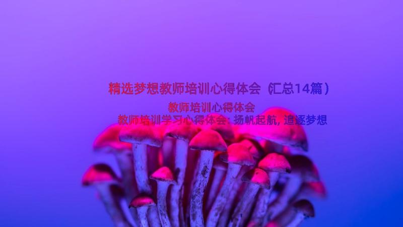 精选梦想教师培训心得体会（汇总14篇）