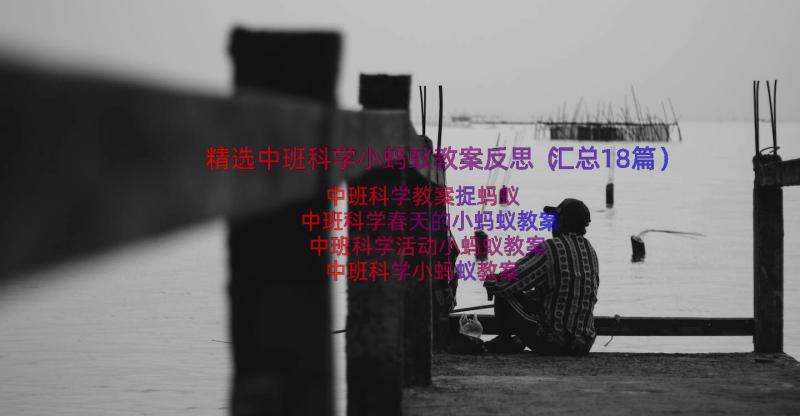 精选中班科学小蚂蚁教案反思（汇总18篇）