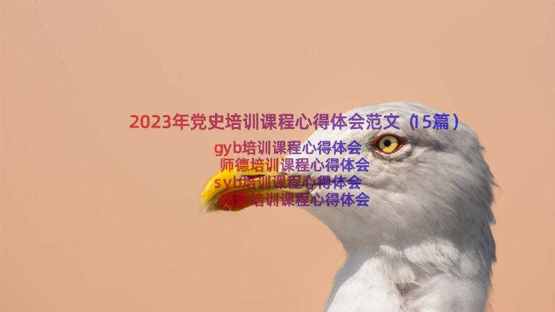 2023年党史培训课程心得体会范文（15篇）