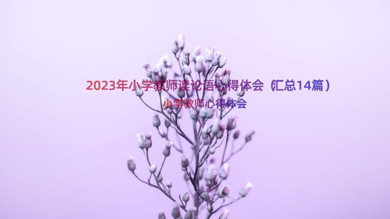 2023年小学教师读论语心得体会（汇总14篇）