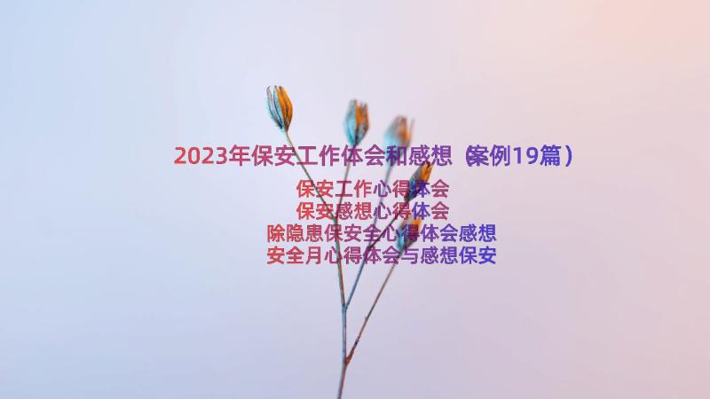 2023年保安工作体会和感想（案例19篇）