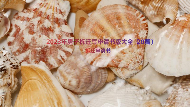 2023年房子拆迁写申请书版大全（20篇）