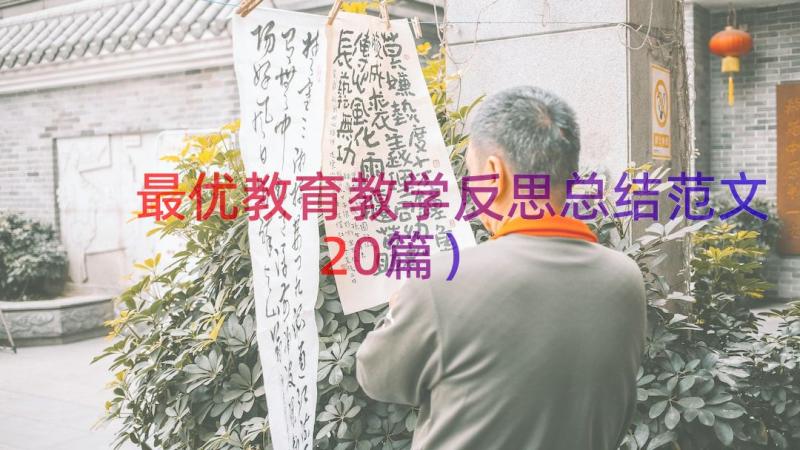 最优教育教学反思总结范文（20篇）