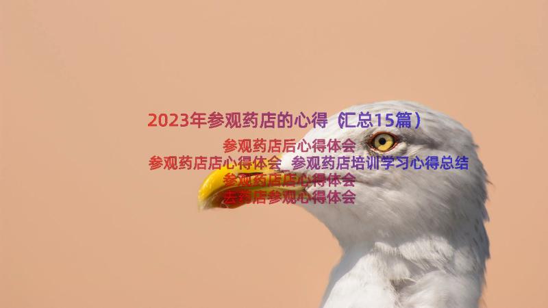 2023年参观药店的心得（汇总15篇）