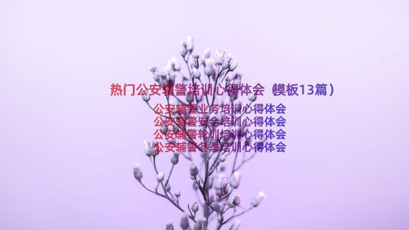 热门公安辅警培训心得体会（模板13篇）