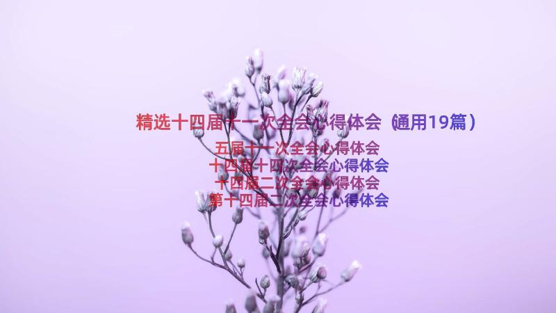 精选十四届十一次全会心得体会（通用19篇）