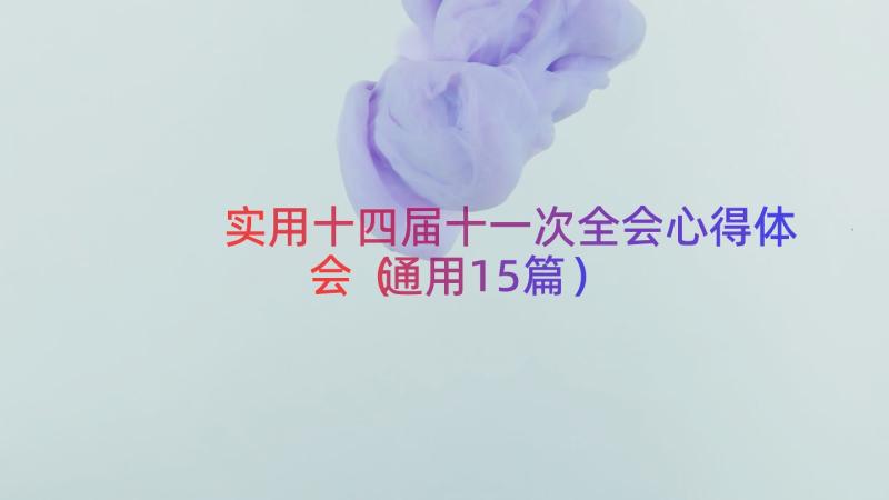 实用十四届十一次全会心得体会（通用15篇）