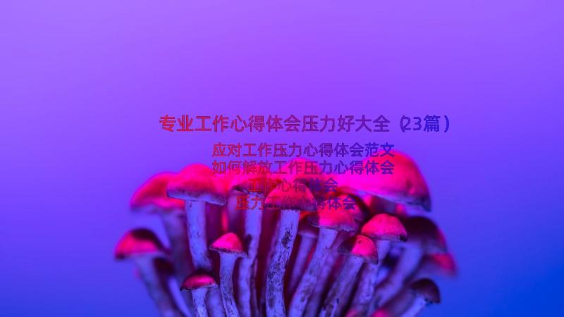 专业工作心得体会压力好大全（23篇）