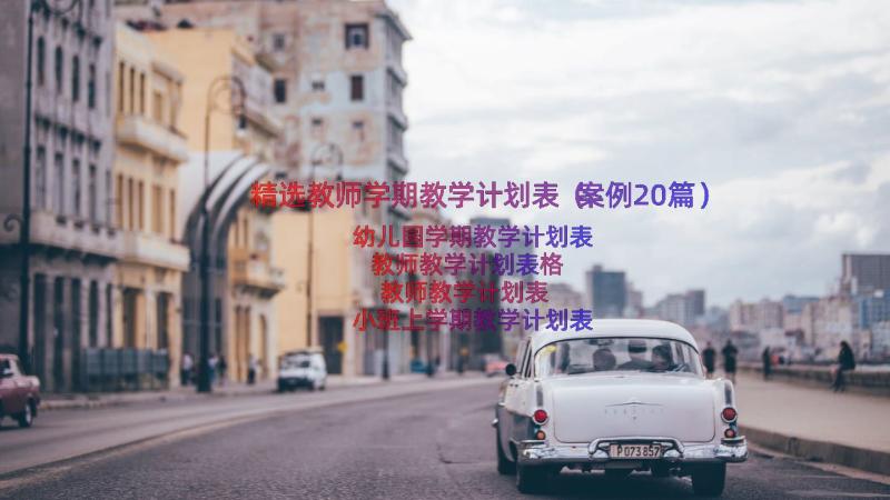 精选教师学期教学计划表（案例20篇）