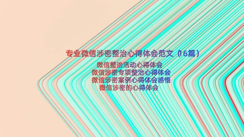 专业微信涉密整治心得体会范文（16篇）