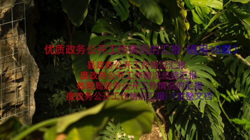 优质政务公开工作情况的汇报（通用18篇）