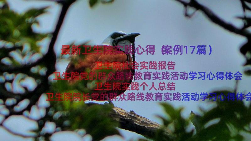 最新卫生院实践心得（案例17篇）