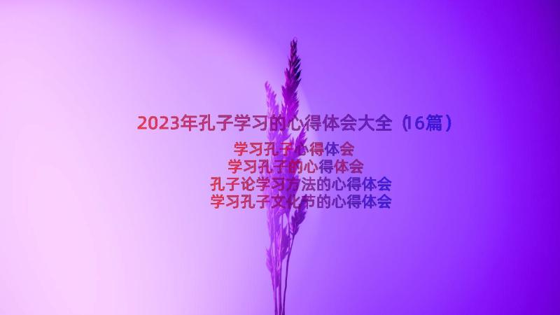 2023年孔子学习的心得体会大全（16篇）