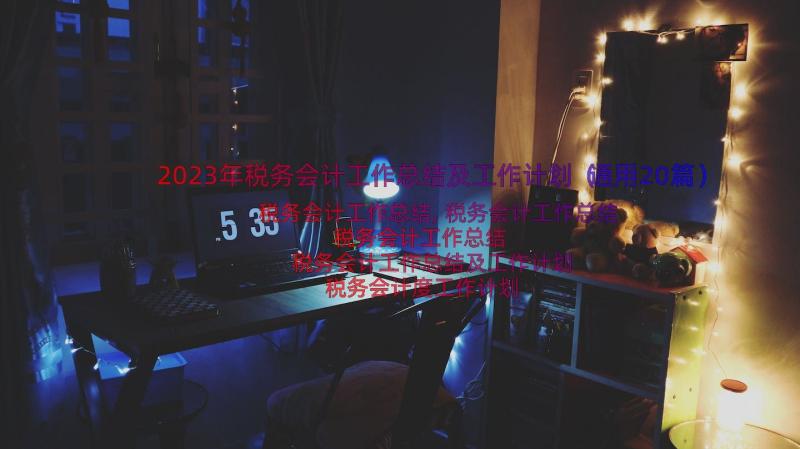 2023年税务会计工作总结及工作计划（通用20篇）