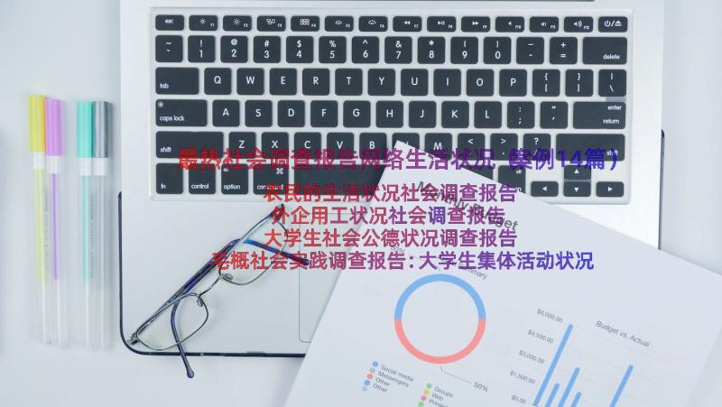 最热社会调查报告网络生活状况（案例14篇）