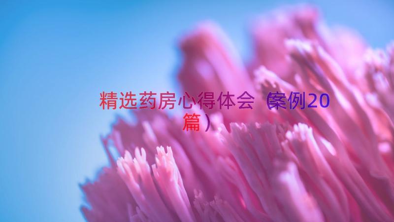 精选药房心得体会（案例20篇）