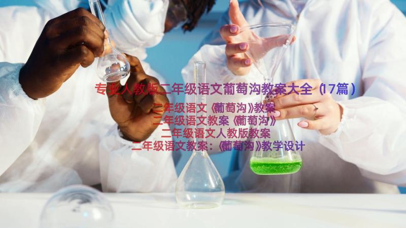 专业人教版二年级语文葡萄沟教案大全（17篇）