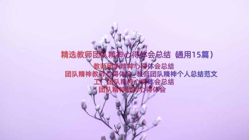 精选教师团队精神心得体会总结（通用15篇）