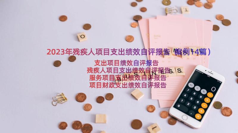 2023年残疾人项目支出绩效自评报告（案例14篇）