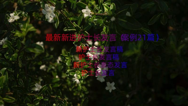 最新新进护士长发言（案例21篇）