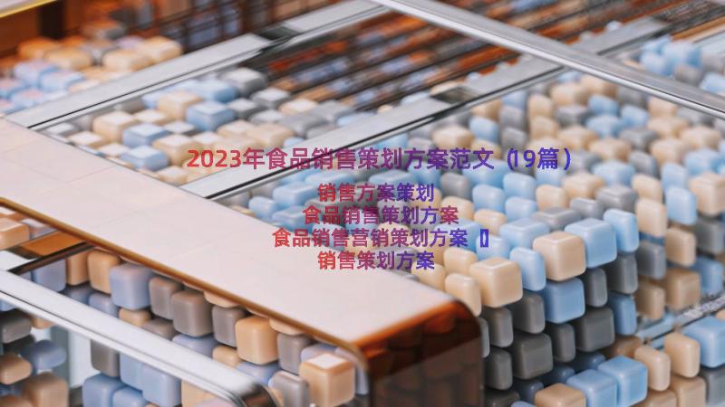 2023年食品销售策划方案范文（19篇）