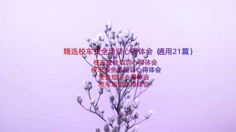 精选校车安全培训心得体会（通用21篇）