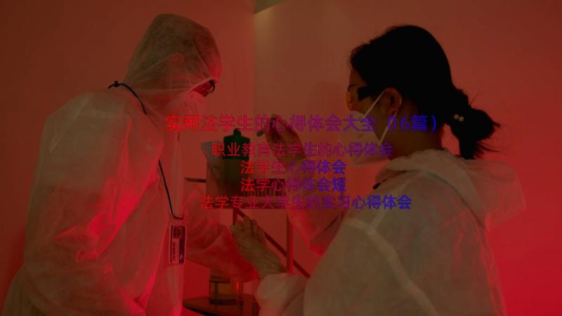 实用法学生的心得体会大全（16篇）