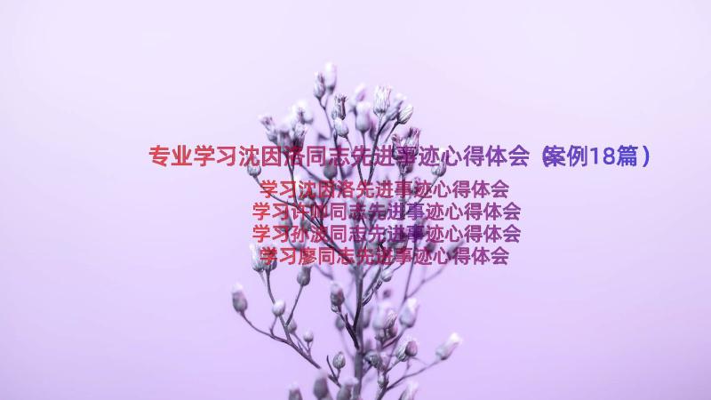 专业学习沈因洛同志先进事迹心得体会（案例18篇）