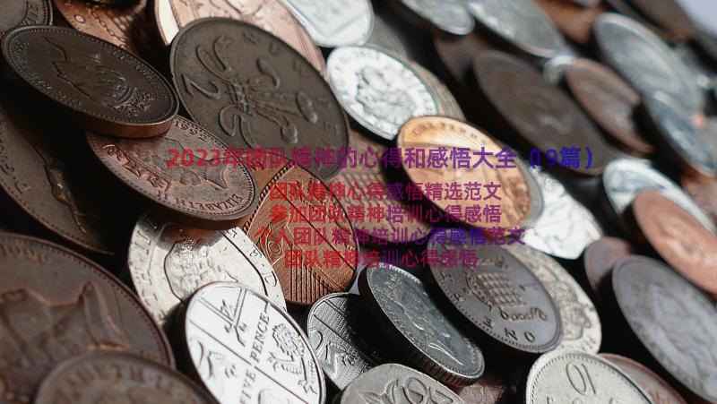 2023年团队精神的心得和感悟大全（19篇）