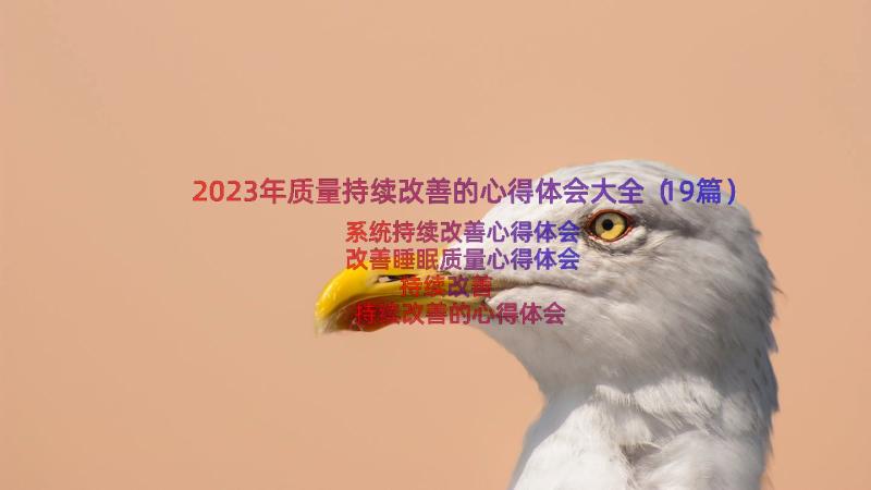 2023年质量持续改善的心得体会大全（19篇）